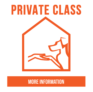 info-comp_private-custom